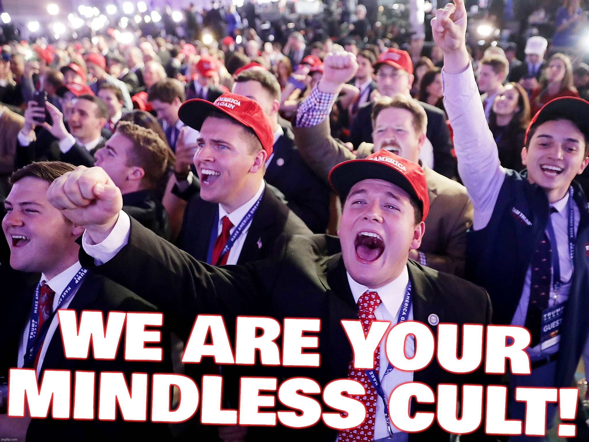 WE ARE YOUR MINDLESS CULT! | made w/ Imgflip meme maker