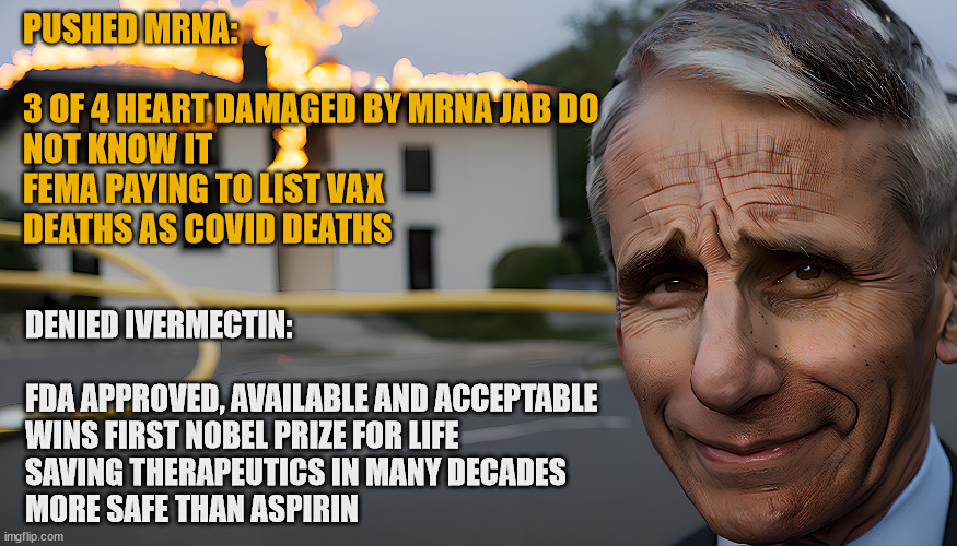 Disaster Girl Fauci | PUSHED MRNA:
 
3 OF 4 HEART DAMAGED BY MRNA JAB DO NOT KNOW IT
FEMA PAYING TO LIST VAX DEATHS AS COVID DEATHS; DENIED IVERMECTIN:
 
FDA APPROVED, AVAILABLE AND ACCEPTABLE
WINS FIRST NOBEL PRIZE FOR LIFE SAVING THERAPEUTICS IN MANY DECADES
MORE SAFE THAN ASPIRIN | image tagged in disaster girl fauci | made w/ Imgflip meme maker