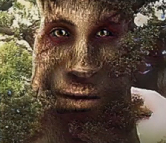 wise tree fluoride stare Blank Template Imgflip