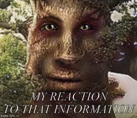 my reaction to that information | MY REACTION TO THAT INFORMATION | image tagged in wise tree fluoride stare | made w/ Imgflip meme maker
