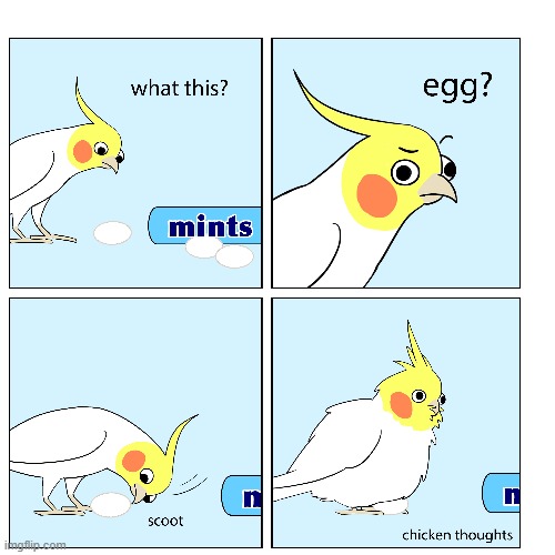 uh oh.. | image tagged in birds,mentos,uh oh,egg,birb | made w/ Imgflip meme maker