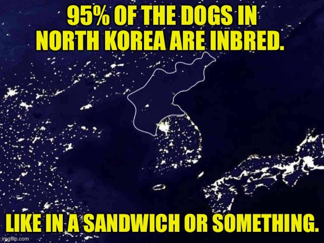 Korea | image tagged in bad pun dog | made w/ Imgflip meme maker