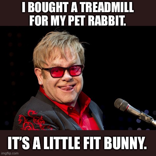 Elton | I BOUGHT A TREADMILL FOR MY PET RABBIT. IT’S A LITTLE FIT BUNNY. | image tagged in elton john | made w/ Imgflip meme maker