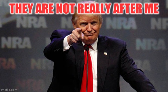 Trump Smiling | THEY ARE NOT REALLY AFTER ME | image tagged in trump smiling | made w/ Imgflip meme maker