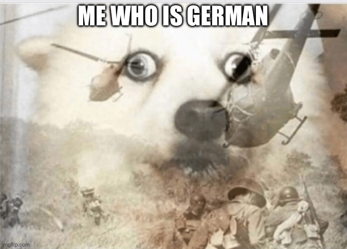PTSD dog | ME WHO IS GERMAN | image tagged in ptsd dog | made w/ Imgflip meme maker