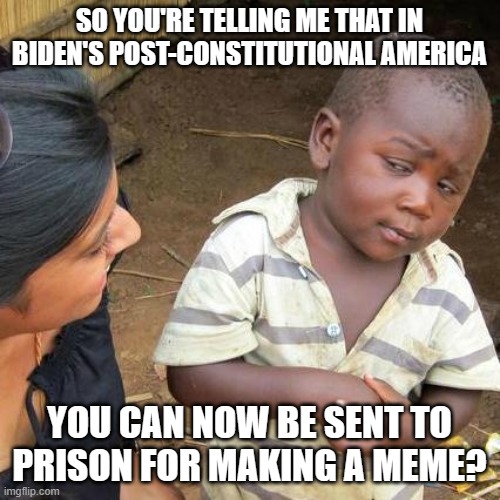 we've fallen so far, so fast | SO YOU'RE TELLING ME THAT IN BIDEN'S POST-CONSTITUTIONAL AMERICA; YOU CAN NOW BE SENT TO PRISON FOR MAKING A MEME? | image tagged in memes,third world skeptical kid | made w/ Imgflip meme maker