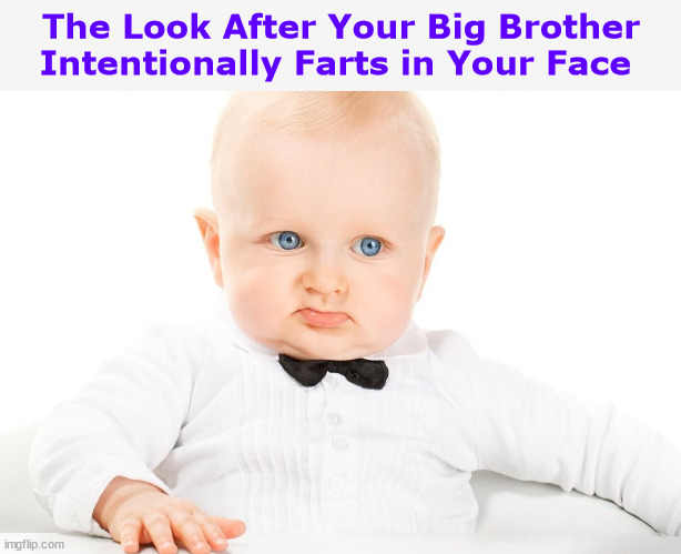The Look After Your Big Brother Intentionally Farts in Your Face | image tagged in big brother,fart,farts,baby,funny,memes | made w/ Imgflip meme maker