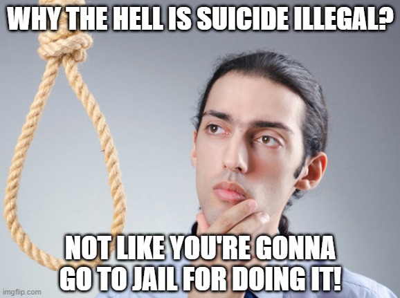 The Law | WHY THE HELL IS SUICIDE ILLEGAL? NOT LIKE YOU'RE GONNA GO TO JAIL FOR DOING IT! | image tagged in noose | made w/ Imgflip meme maker