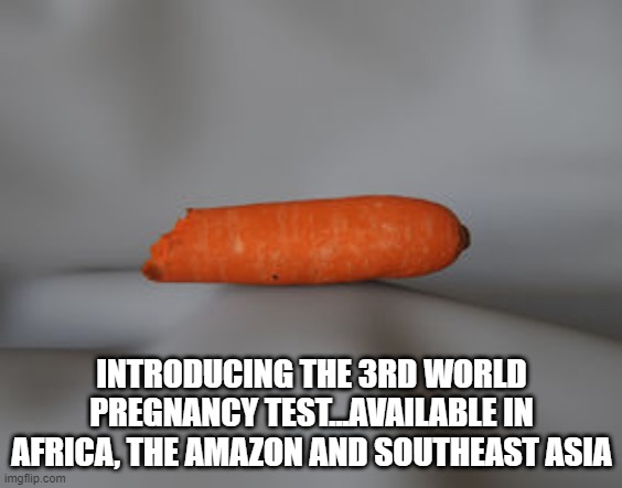 Pregnancy test | INTRODUCING THE 3RD WORLD PREGNANCY TEST...AVAILABLE IN AFRICA, THE AMAZON AND SOUTHEAST ASIA | image tagged in dark humor | made w/ Imgflip meme maker