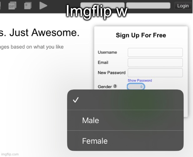 Imgflip w | made w/ Imgflip meme maker