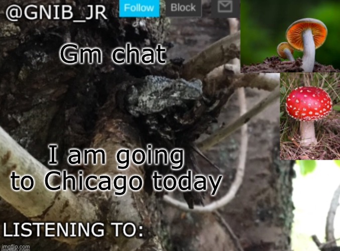 I am going to be in the car for 7 hours | Gm chat; I am going to Chicago today | image tagged in gnib_jr's new temp | made w/ Imgflip meme maker