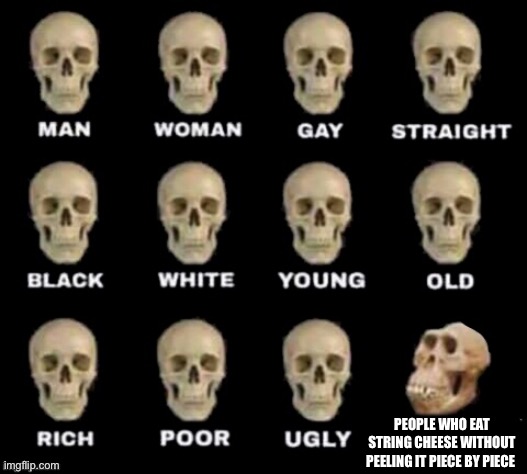 idiot skull | PEOPLE WHO EAT STRING CHEESE WITHOUT PEELING IT PIECE BY PIECE | image tagged in idiot skull,memes,funny | made w/ Imgflip meme maker