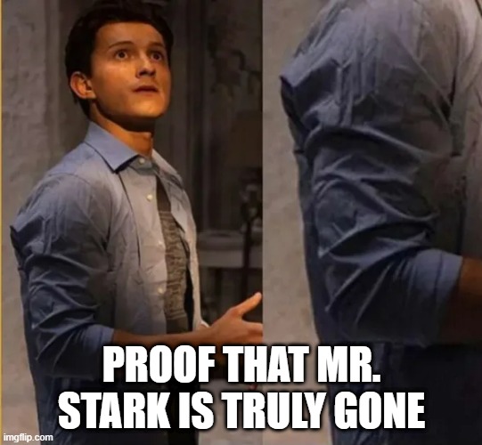 He Has No Iron Man | PROOF THAT MR. STARK IS TRULY GONE | image tagged in iron man,spiderman | made w/ Imgflip meme maker