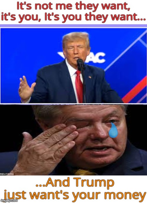 MAGA fleecing, baa baa little suckers | image tagged in donald trump,con man,nyc,crime,broke | made w/ Imgflip meme maker