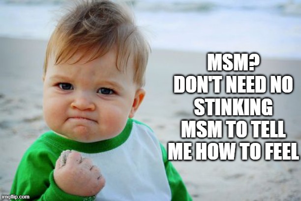Success Kid Original Meme | MSM? DON'T NEED NO STINKING MSM TO TELL ME HOW TO FEEL | image tagged in memes,success kid original | made w/ Imgflip meme maker