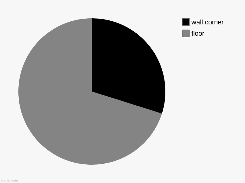 floor, wall corner | image tagged in charts,pie charts | made w/ Imgflip chart maker