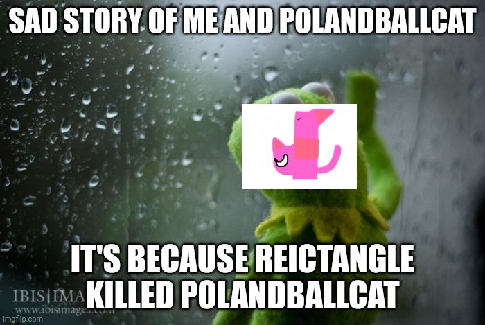 Reictangle killed Polandballcat that kinda sad :( | SAD STORY OF ME AND POLANDBALLCAT; IT'S BECAUSE REICTANGLE KILLED POLANDBALLCAT | image tagged in kermit window | made w/ Imgflip meme maker