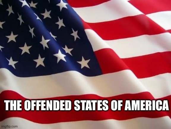 American flag | THE OFFENDED STATES OF AMERICA | image tagged in american flag | made w/ Imgflip meme maker