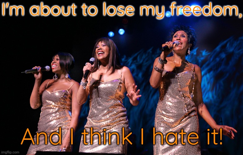 Pointer Sisters | I'm about to lose my freedom, And I think I hate it! | image tagged in pointer sisters | made w/ Imgflip meme maker