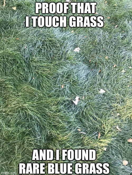 How to touch grass Meme Generator - Imgflip