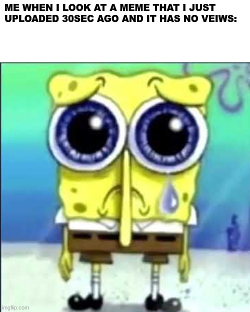 Sad Spongebob | ME WHEN I LOOK AT A MEME THAT I JUST UPLOADED 30SEC AGO AND IT HAS NO VEIWS: | image tagged in sad spongebob | made w/ Imgflip meme maker