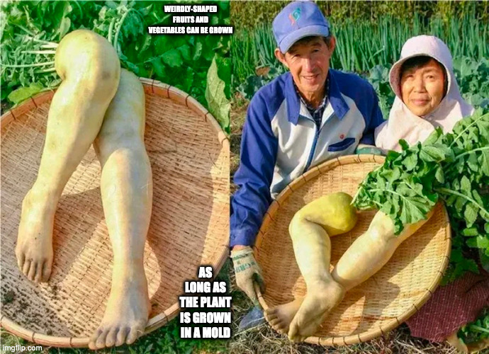 Human Legs-Shaped Daikon | WEIRDLY-SHAPED FRUITS AND VEGETABLES CAN BE GROWN; AS LONG AS THE PLANT IS GROWN IN A MOLD | image tagged in vegetables,memes | made w/ Imgflip meme maker