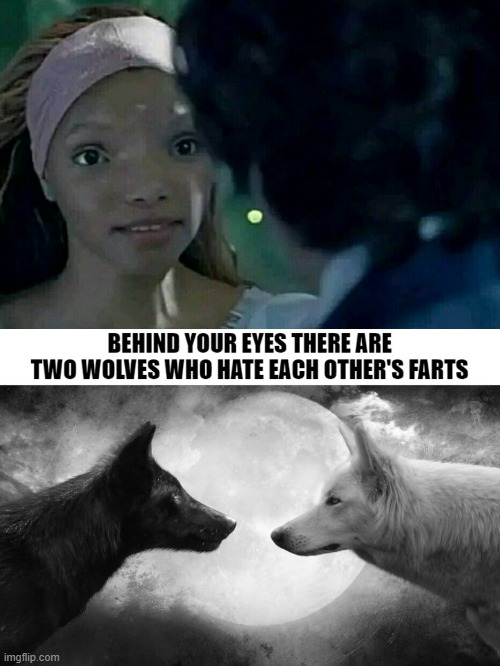 I have no issues with her, but those eyes hehe | image tagged in the little mermaid,inside you there are two wolves,funny | made w/ Imgflip meme maker