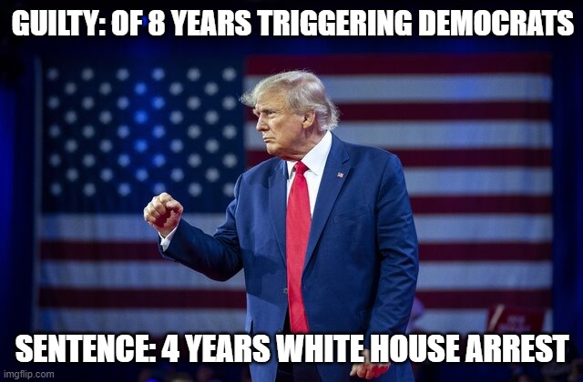 Guilty | GUILTY: OF 8 YEARS TRIGGERING DEMOCRATS; SENTENCE: 4 YEARS WHITE HOUSE ARREST | image tagged in whitehouse,trump derangement syndrome | made w/ Imgflip meme maker