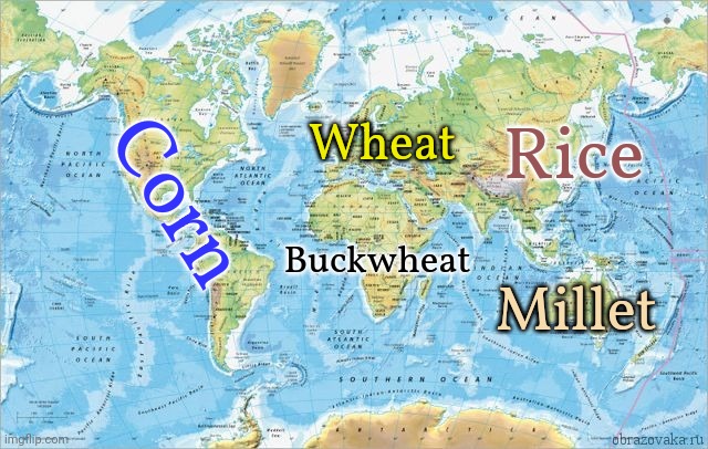 Historically significant grains, by continent: | Wheat; Rice; Corn; Buckwheat; Millet | image tagged in world map,food for thought,ancient,survival,culture,traditions | made w/ Imgflip meme maker