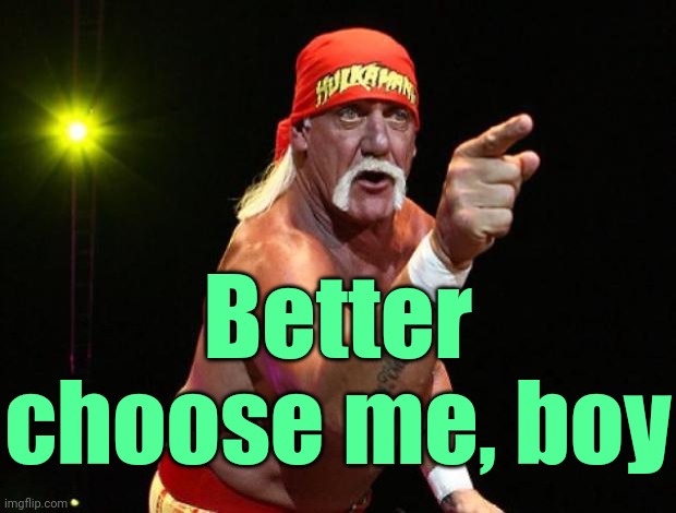 Hulk Hogan | Better choose me, boy | image tagged in hulk hogan | made w/ Imgflip meme maker