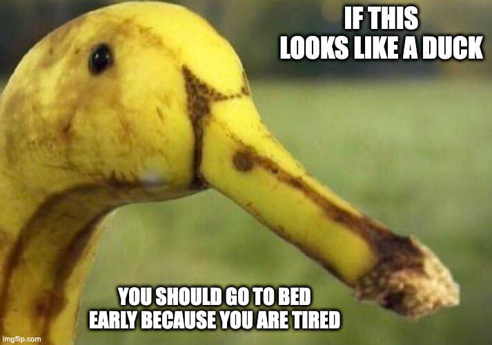 Banana Looking Like a Duck | IF THIS LOOKS LIKE A DUCK; YOU SHOULD GO TO BED EARLY BECAUSE YOU ARE TIRED | image tagged in banana,duck,memes | made w/ Imgflip meme maker