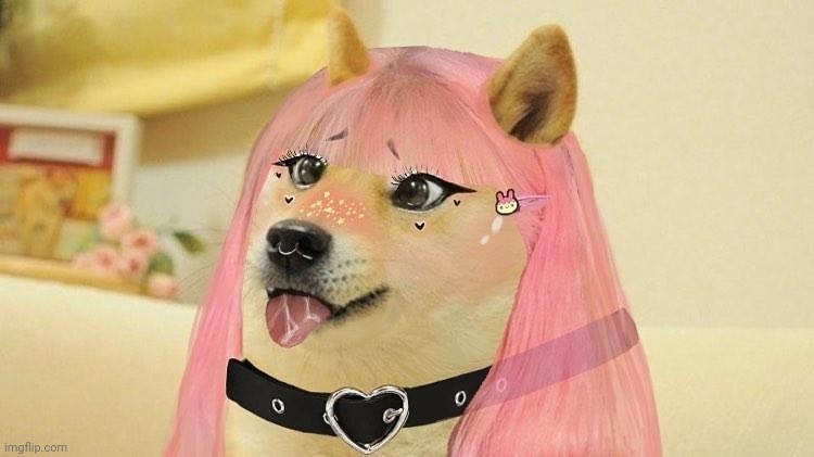 e-girl doge | image tagged in e-girl doge | made w/ Imgflip meme maker
