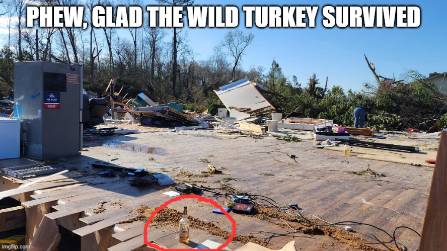 Tornado Damage | PHEW, GLAD THE WILD TURKEY SURVIVED | image tagged in dark humor | made w/ Imgflip meme maker