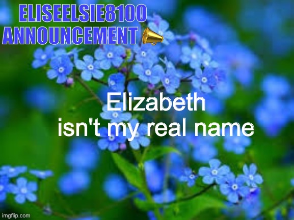 EliseElsie8100 Announcement | Elizabeth isn't my real name | image tagged in eliseelsie8100 announcement | made w/ Imgflip meme maker