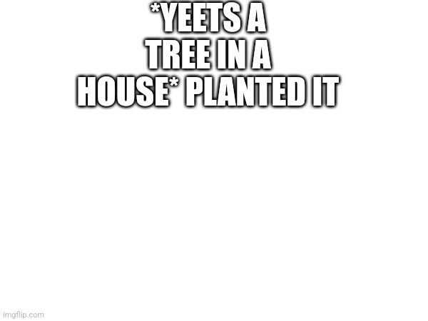 I feel a little . . . Chaotic today | *YEETS A TREE IN A HOUSE* PLANTED IT | image tagged in yeet,tree,plant,chaos | made w/ Imgflip meme maker