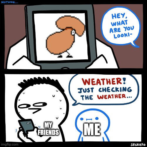 SrGrafo what are you looking at? | MY FRIENDS; ME | image tagged in srgrafo what are you looking at | made w/ Imgflip meme maker