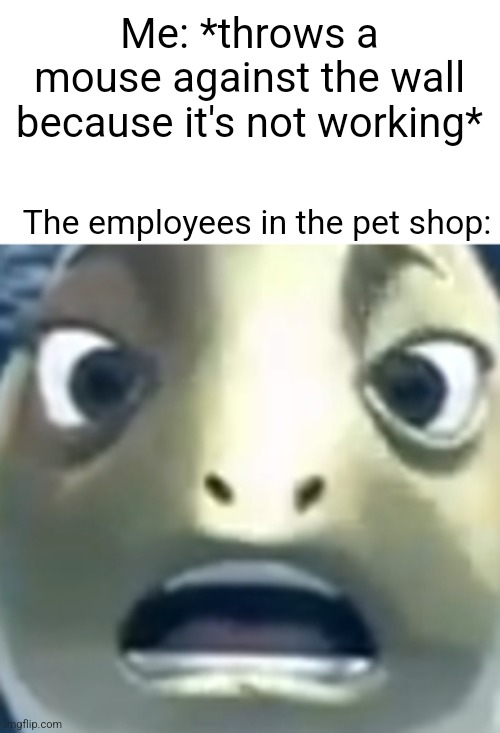 Came from the movie "Podak" which is a darker adult version of finding nemo | Me: *throws a mouse against the wall because it's not working*; The employees in the pet shop: | image tagged in memes,shocked face,pets | made w/ Imgflip meme maker