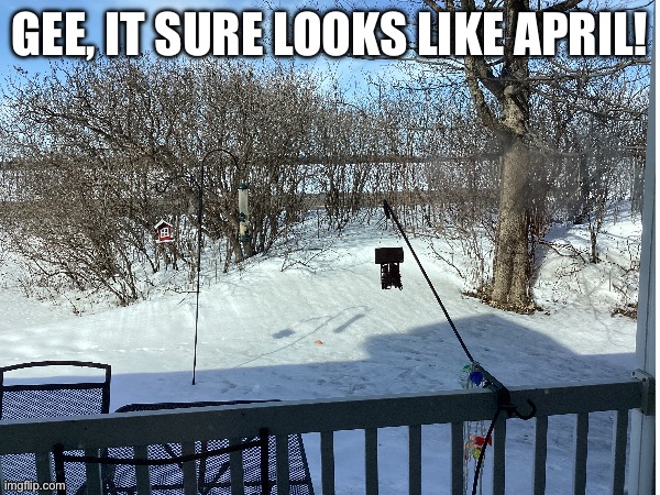Title | GEE, IT SURE LOOKS LIKE APRIL! | image tagged in spring,april | made w/ Imgflip meme maker