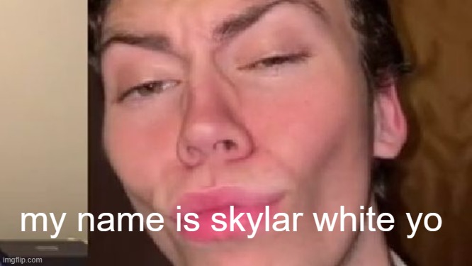 Well my name is skyler white yo | my name is skylar white yo | image tagged in well my name is skyler white yo | made w/ Imgflip meme maker