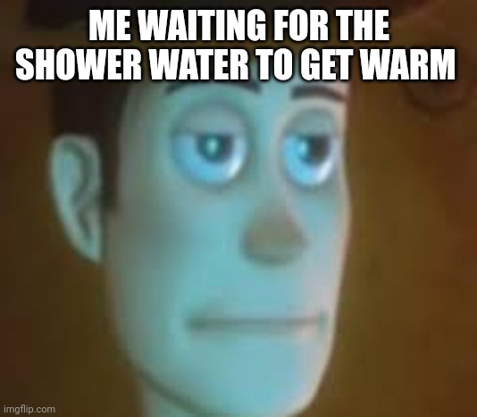 Mornings be like: | ME WAITING FOR THE SHOWER WATER TO GET WARM | image tagged in disappointed woody,relatable | made w/ Imgflip meme maker