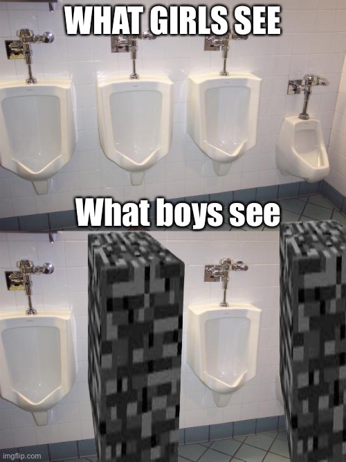 Why did I make this | WHAT GIRLS SEE; What boys see | image tagged in men's room urinals | made w/ Imgflip meme maker