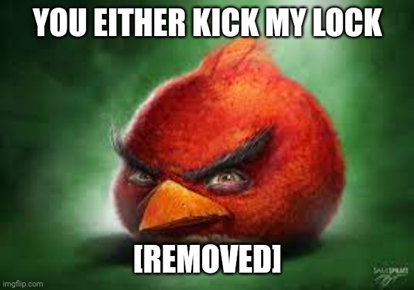 Realistic Red Angry Birds | YOU EITHER KICK MY LOCK; [REMOVED] | image tagged in realistic red angry birds | made w/ Imgflip meme maker