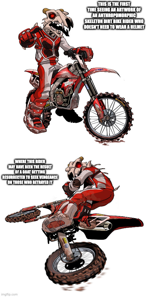 Skuller | THIS IS THE FIRST TIME SEEING AN ARTWORK OF AN ANTHROPOMORPHIC SKELETON DIRT BIKE RIDER WHO DOESN'T NEED TO WEAR A HELMET; WHERE THIS RIDER MAY HAVE BEEN THE RESULT OF A GOAT GETTING RESURRECTED TO SEEK VENGEANCE ON THOSE WHO BETRAYED IT | image tagged in memes,artwork,dirtbike | made w/ Imgflip meme maker