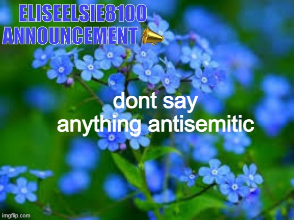 EliseElsie8100 Announcement | dont say anything antisemitic | image tagged in eliseelsie8100 announcement | made w/ Imgflip meme maker