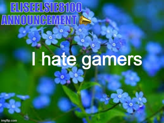 EliseElsie8100 Announcement | I hate gamers | image tagged in eliseelsie8100 announcement | made w/ Imgflip meme maker