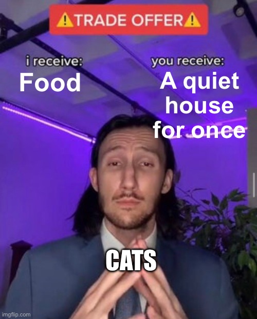 Why can’t they just be quiet? | A quiet house for once; Food; CATS | image tagged in i receive you receive,memes,cats,logic | made w/ Imgflip meme maker