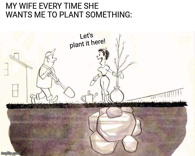 Murphey's Law | MY WIFE EVERY TIME SHE WANTS ME TO PLANT SOMETHING:; Let's plant it here! | image tagged in funny,gardening,comic,married,life,murphy's law | made w/ Imgflip meme maker