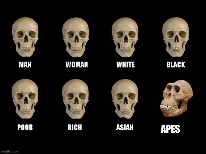 empty skulls of truth | APES | image tagged in empty skulls of truth | made w/ Imgflip meme maker