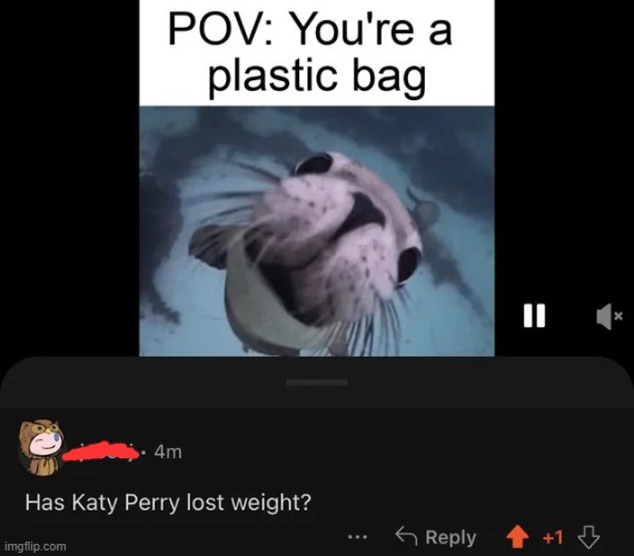 cursed_plastic | image tagged in cursed,comments,funny | made w/ Imgflip meme maker