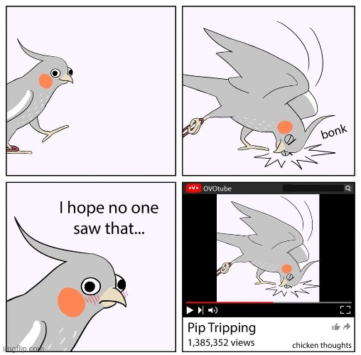 Pip tripping | image tagged in pip,chicken thoughts,birds,bird,comics,comics/cartoons | made w/ Imgflip meme maker